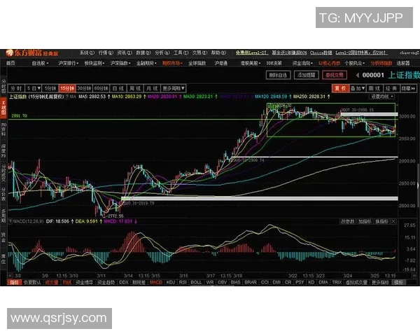 深圳乒乓球队与广州乒乓球队赛后复盘分析比赛节奏与战术对比