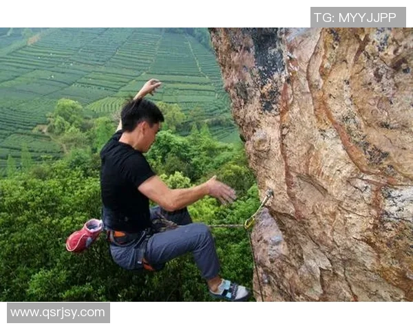 杭州攀岩队快攻革新之路:技术突破与团队协作的完美结合