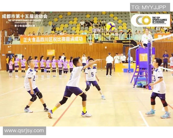 赛后分析：成都排球队与广州排球队的竞技状态与表现对比