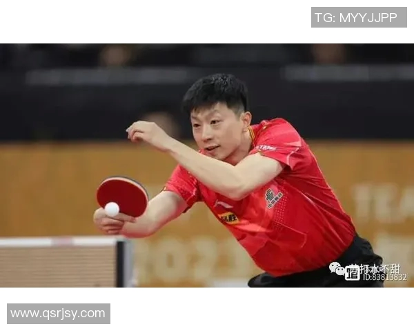 南京乒乓球队心理素质排名第二展现强大心理韧性与竞技实力